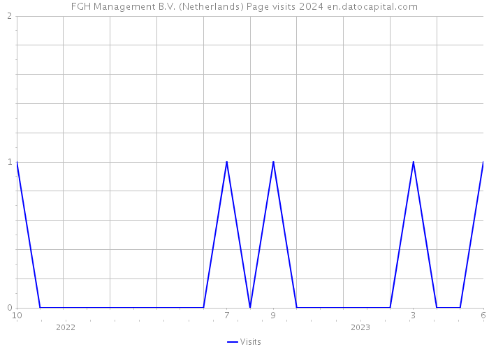 FGH Management B.V. (Netherlands) Page visits 2024 