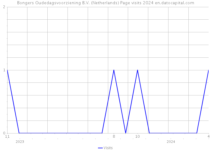 Bongers Oudedagsvoorziening B.V. (Netherlands) Page visits 2024 