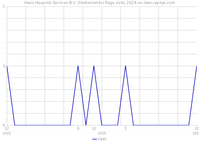 Hans Heupink Services B.V. (Netherlands) Page visits 2024 