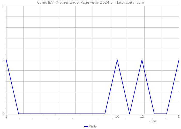 Conic B.V. (Netherlands) Page visits 2024 