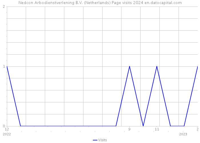 Nedcon Arbodienstverlening B.V. (Netherlands) Page visits 2024 