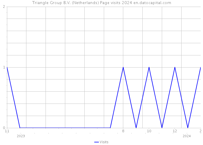 Triangle Group B.V. (Netherlands) Page visits 2024 