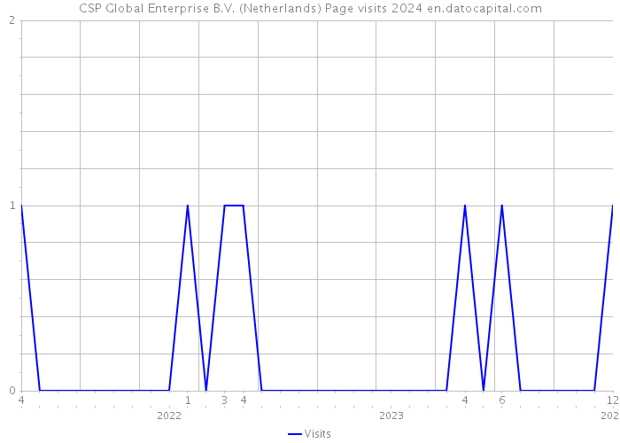CSP Global Enterprise B.V. (Netherlands) Page visits 2024 