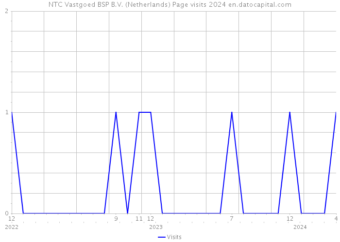NTC Vastgoed BSP B.V. (Netherlands) Page visits 2024 
