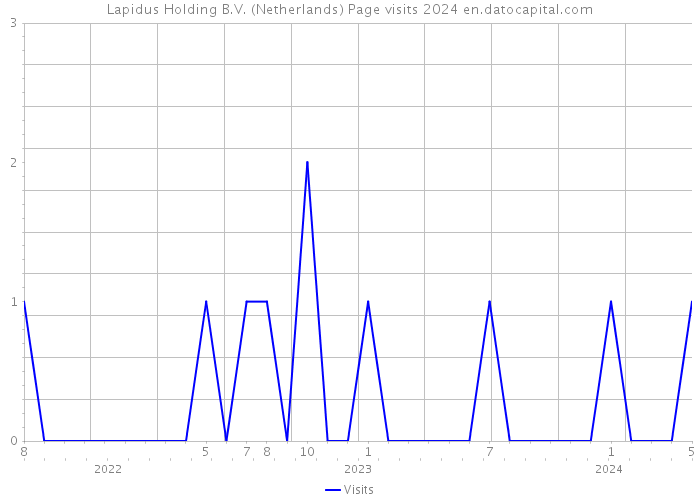 Lapidus Holding B.V. (Netherlands) Page visits 2024 