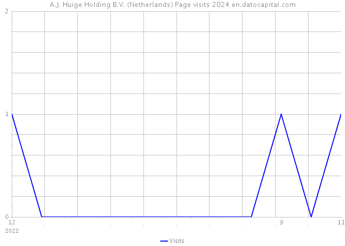 A.J. Huige Holding B.V. (Netherlands) Page visits 2024 