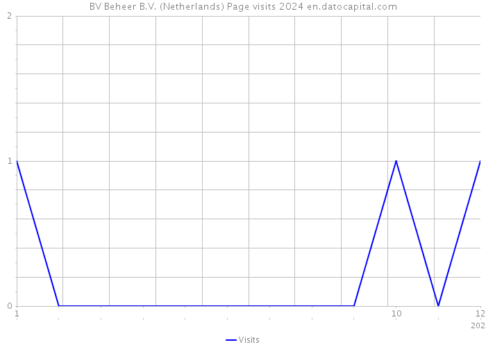 BV Beheer B.V. (Netherlands) Page visits 2024 