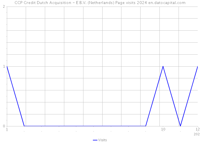 CCP Credit Dutch Acquisition - E B.V. (Netherlands) Page visits 2024 