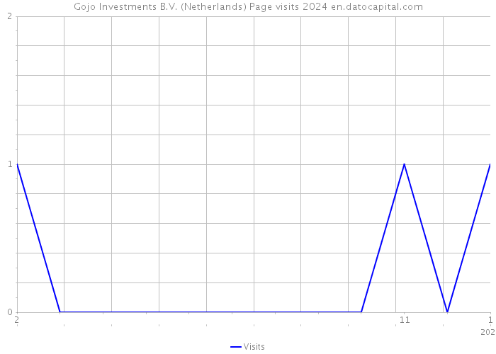 Gojo Investments B.V. (Netherlands) Page visits 2024 