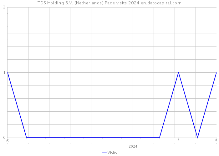 TDS Holding B.V. (Netherlands) Page visits 2024 