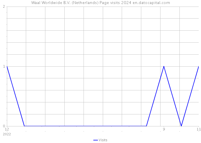 Waal Worldwide B.V. (Netherlands) Page visits 2024 