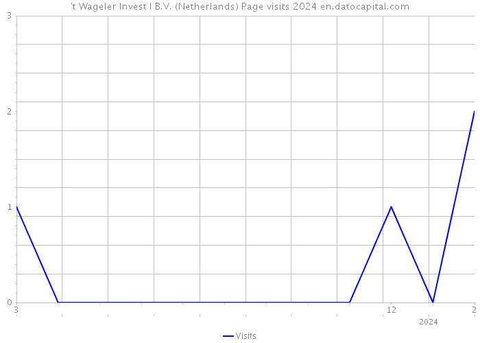 't Wageler Invest I B.V. (Netherlands) Page visits 2024 