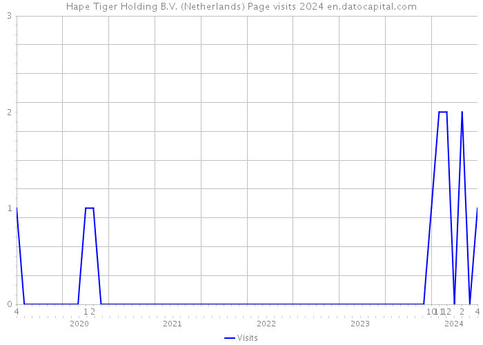 Hape Tiger Holding B.V. (Netherlands) Page visits 2024 
