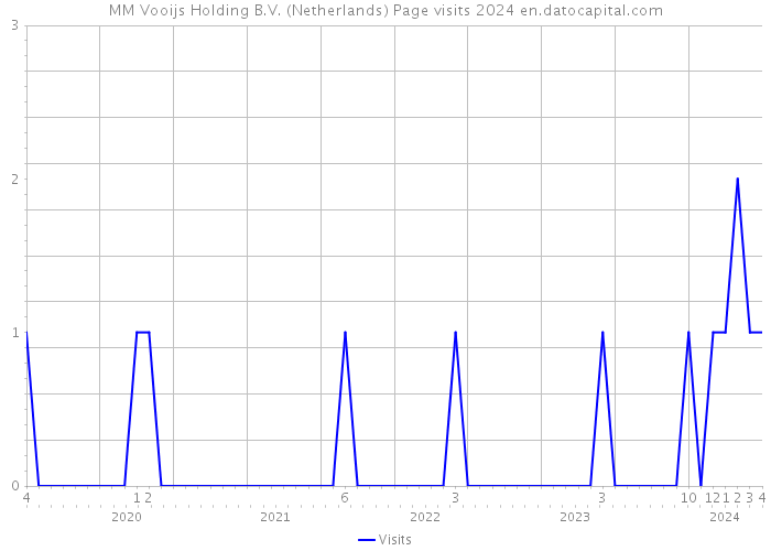 MM Vooijs Holding B.V. (Netherlands) Page visits 2024 