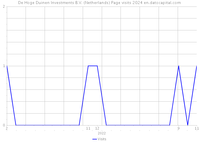 De Hoge Duinen Investments B.V. (Netherlands) Page visits 2024 