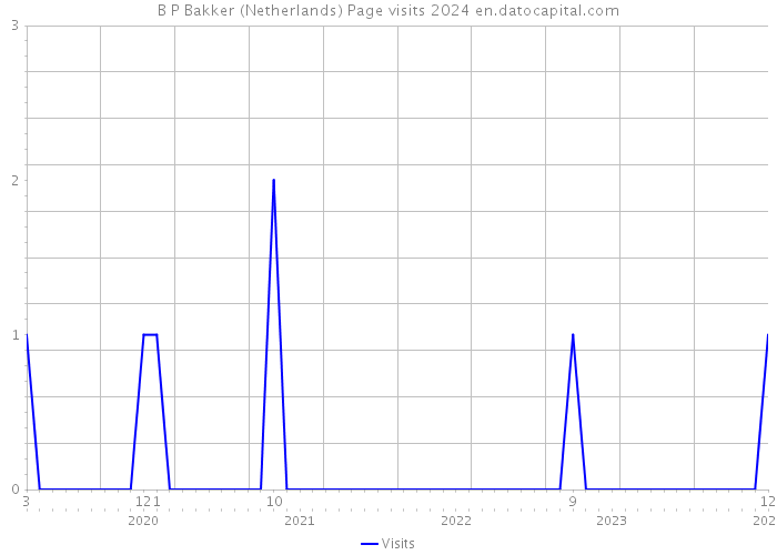 B P Bakker (Netherlands) Page visits 2024 