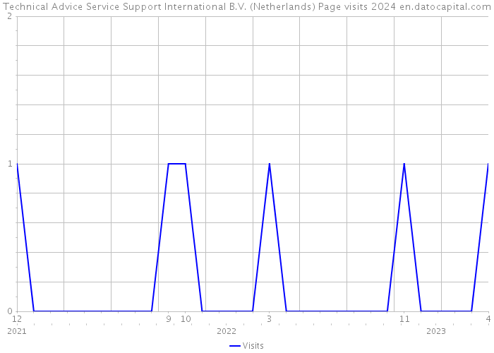 Technical Advice Service Support International B.V. (Netherlands) Page visits 2024 