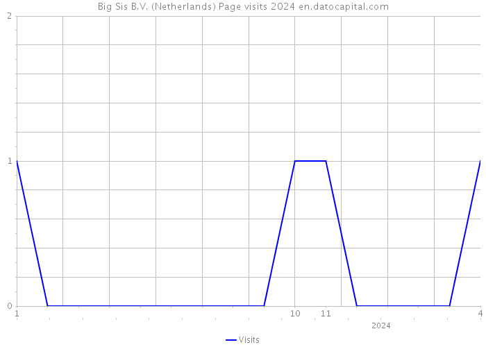 Big Sis B.V. (Netherlands) Page visits 2024 