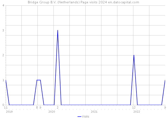 Bridge Group B.V. (Netherlands) Page visits 2024 