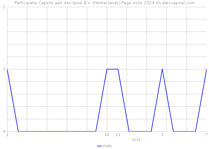 Participatie Capelle aan den IJssel B.V. (Netherlands) Page visits 2024 