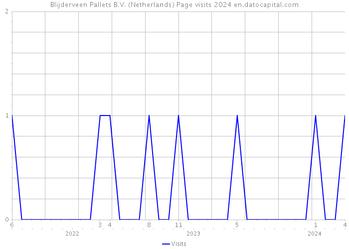 Blijderveen Pallets B.V. (Netherlands) Page visits 2024 