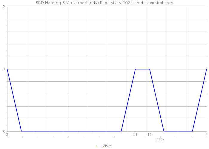 BRD Holding B.V. (Netherlands) Page visits 2024 