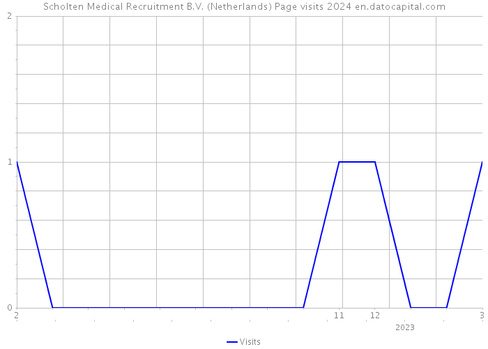 Scholten Medical Recruitment B.V. (Netherlands) Page visits 2024 