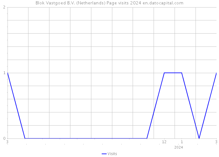 Blok Vastgoed B.V. (Netherlands) Page visits 2024 