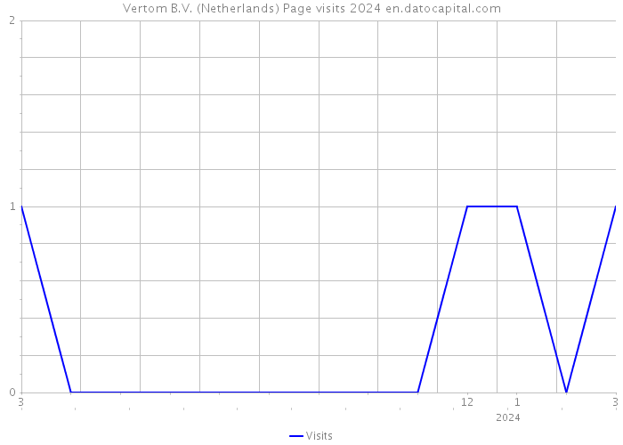 Vertom B.V. (Netherlands) Page visits 2024 