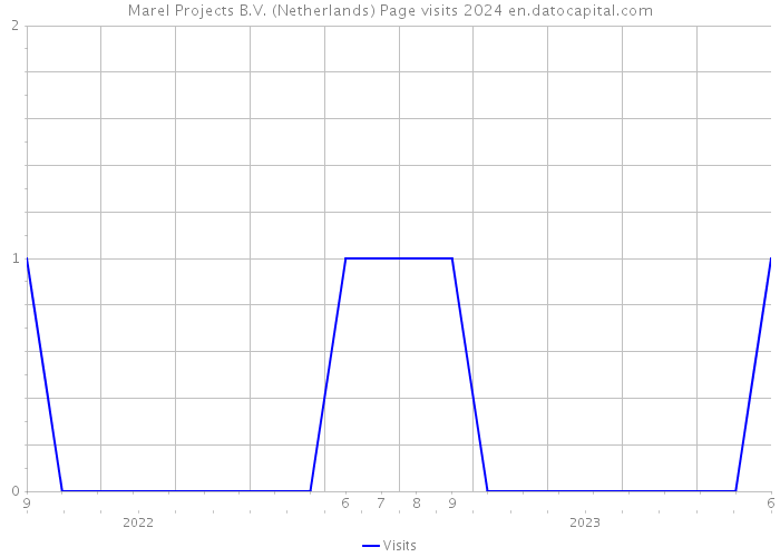 Marel Projects B.V. (Netherlands) Page visits 2024 