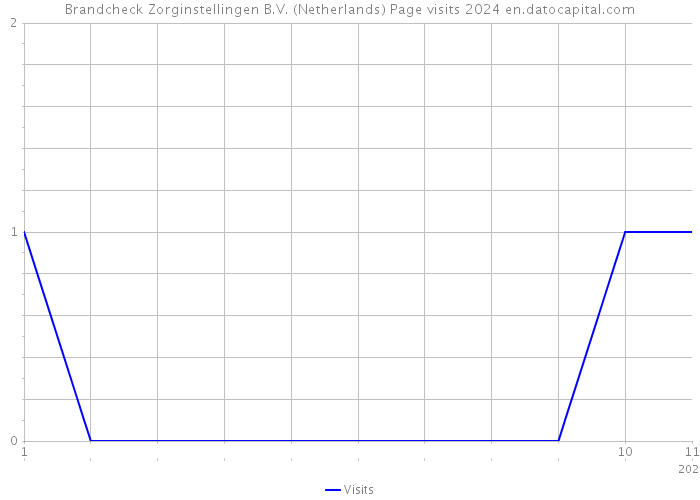 Brandcheck Zorginstellingen B.V. (Netherlands) Page visits 2024 