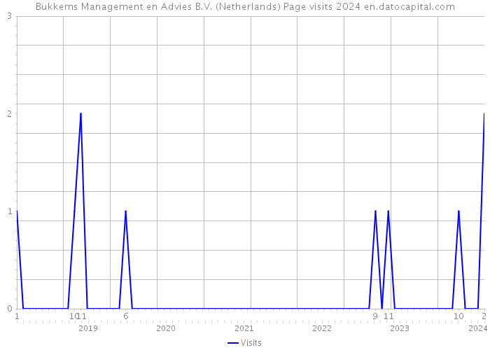 Bukkems Management en Advies B.V. (Netherlands) Page visits 2024 