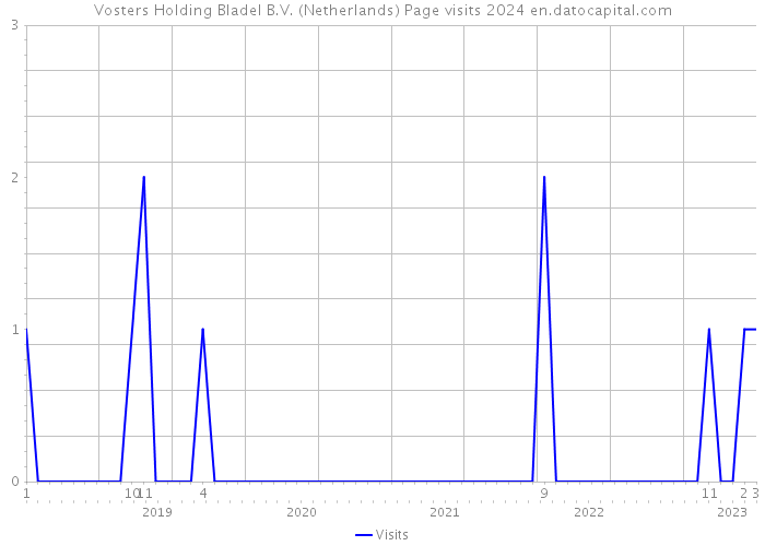 Vosters Holding Bladel B.V. (Netherlands) Page visits 2024 