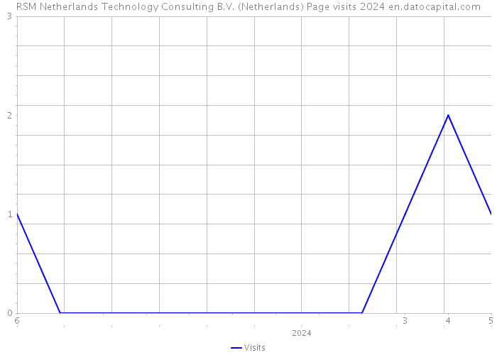 RSM Netherlands Technology Consulting B.V. (Netherlands) Page visits 2024 