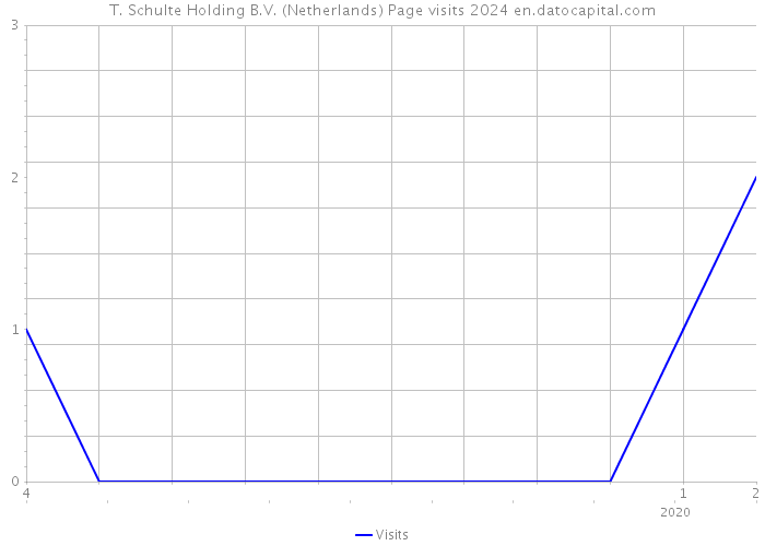 T. Schulte Holding B.V. (Netherlands) Page visits 2024 