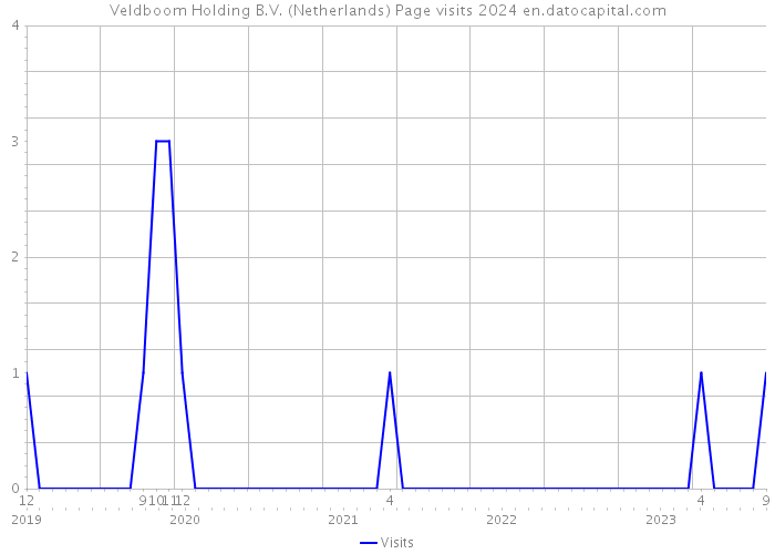 Veldboom Holding B.V. (Netherlands) Page visits 2024 