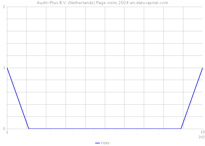 Audit-Plus B.V. (Netherlands) Page visits 2024 