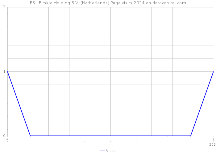 B&L Fitskie Holding B.V. (Netherlands) Page visits 2024 