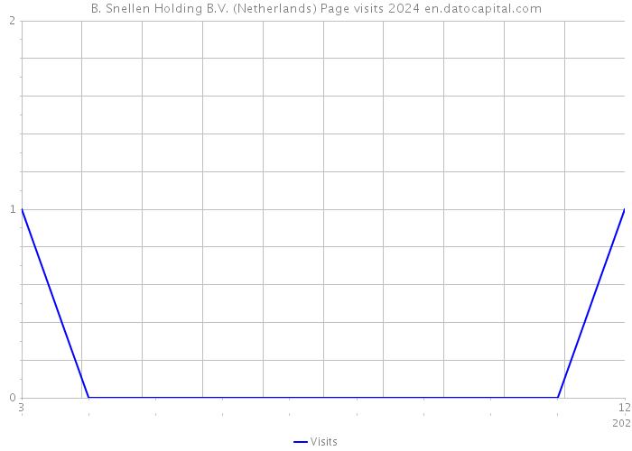 B. Snellen Holding B.V. (Netherlands) Page visits 2024 