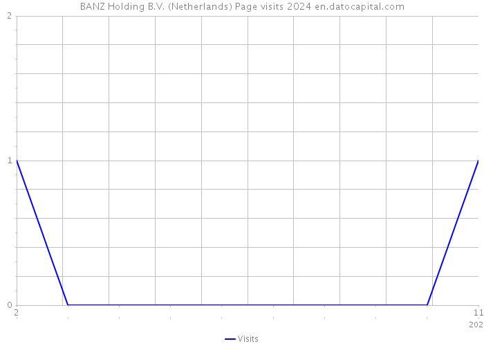 BANZ Holding B.V. (Netherlands) Page visits 2024 
