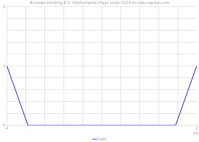 Bouman Holding B.V. (Netherlands) Page visits 2024 