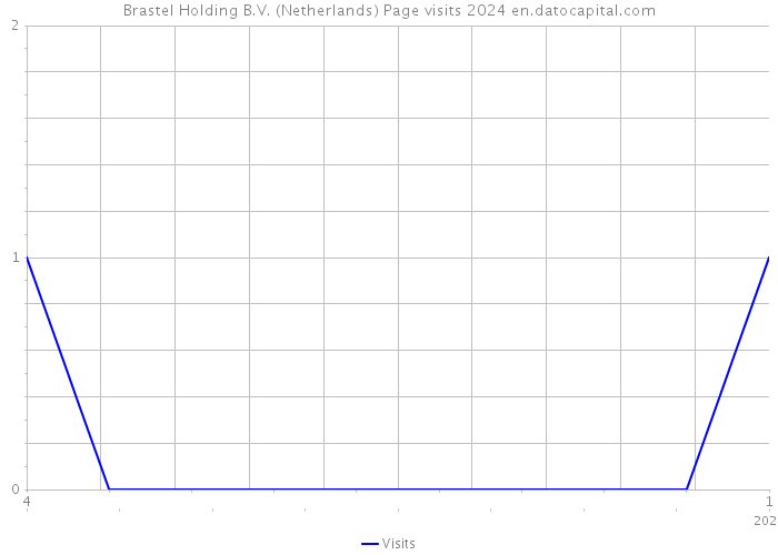 Brastel Holding B.V. (Netherlands) Page visits 2024 