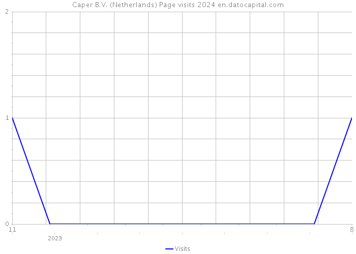 Caper B.V. (Netherlands) Page visits 2024 