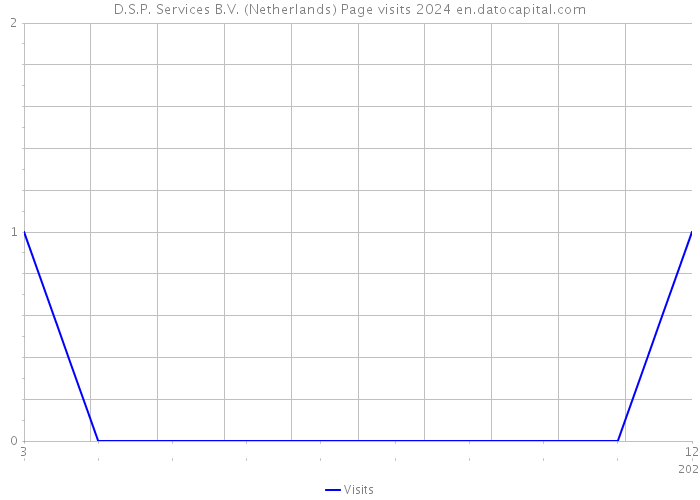 D.S.P. Services B.V. (Netherlands) Page visits 2024 