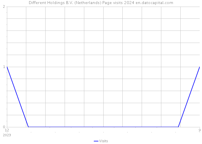 Different Holdings B.V. (Netherlands) Page visits 2024 