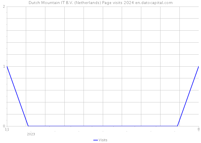 Dutch Mountain IT B.V. (Netherlands) Page visits 2024 
