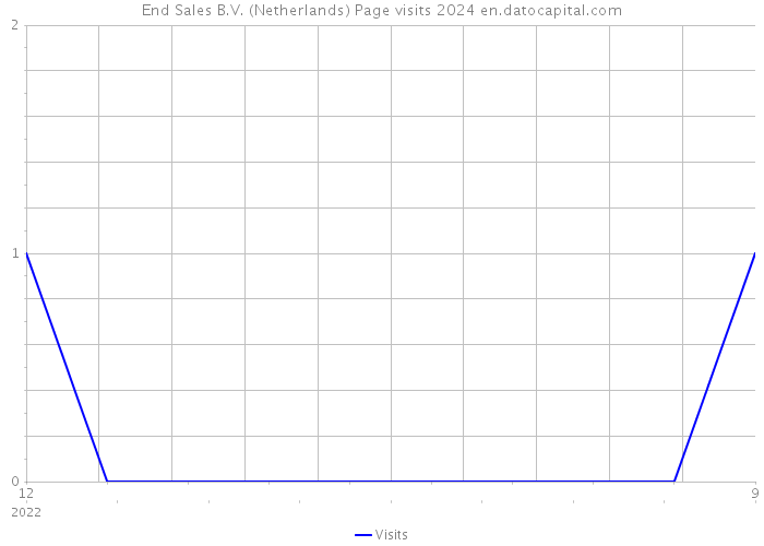 End Sales B.V. (Netherlands) Page visits 2024 