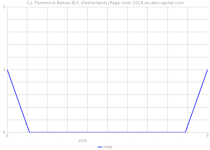 G.J. Temminck Beheer B.V. (Netherlands) Page visits 2024 