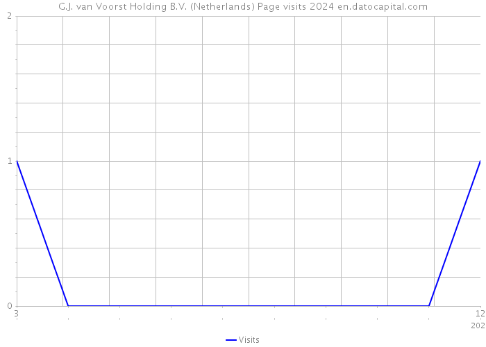G.J. van Voorst Holding B.V. (Netherlands) Page visits 2024 