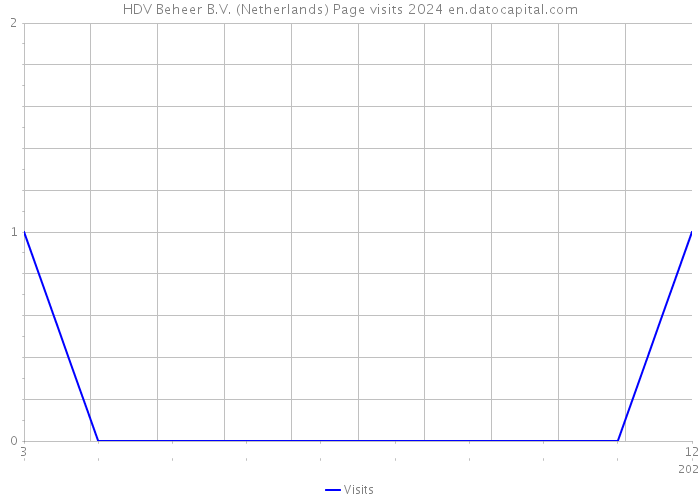 HDV Beheer B.V. (Netherlands) Page visits 2024 